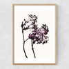 Red Maple Narrow Oak Frame