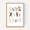 Dancing Cats