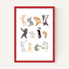 Dancing Cats
