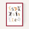 Dancing Cats