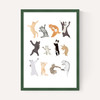 Dancing Cats