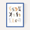 Dancing Cats