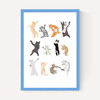 Dancing Cats