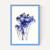 Baby's Breath