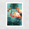 Flamingoes Unframed Print