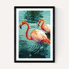 Flamingoes