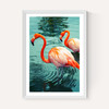 Flamingoes