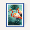 Flamingoes