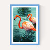 Flamingoes