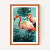 Flamingoes