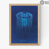 Lion's Mane Jellyfish Medium Oak Frame