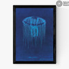 Lion's Mane Jellyfish Medium Black Frame