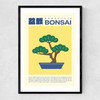 Bonsai Narrow Black Frame