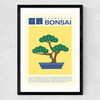 Bonsai Medium Black Frame