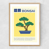 Bonsai Narrow Oak Frame
