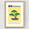 Bonsai Wide Oak Frame