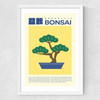 Bonsai Medium White Frame