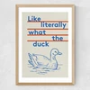 What The Duck