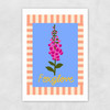 Foxglove Unframed Print