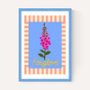 Foxglove