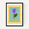 Pansy