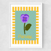 Pansy Medium White Frame