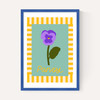 Pansy