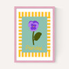 Pansy