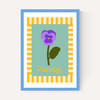 Pansy
