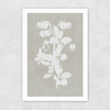 Botanical Illustration IV Unframed Print