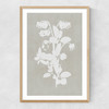 Botanical Illustration IV Narrow Oak Frame