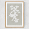 Botanical Illustration IV Medium Oak Frame