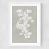 Botanical Illustration IV Medium White Frame