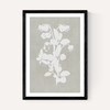 Botanical Illustration IV