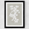 Botanical Illustration IV Wide Black Frame