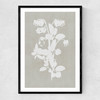 Botanical Illustration IV Narrow Black Frame