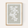 Botanical Illustration IV