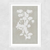 Botanical Illustration IV