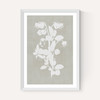 Botanical Illustration IV