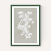 Botanical Illustration IV