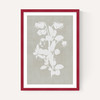 Botanical Illustration IV