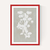 Botanical Illustration IV