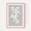 Botanical Illustration IV