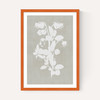Botanical Illustration IV