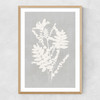 Botanical Illustration V Narrow Oak Frame