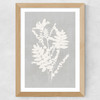 Botanical Illustration V Wide Oak Frame