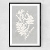 Botanical Illustration V Narrow Black Frame