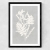 Botanical Illustration V Medium Black Frame