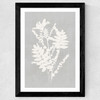 Botanical Illustration V Wide Black Frame