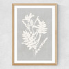 Botanical Illustration V Medium Oak Frame